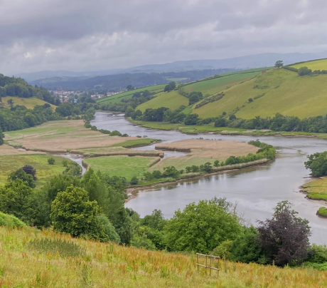 Piture of the river Dart looking north to Totnes